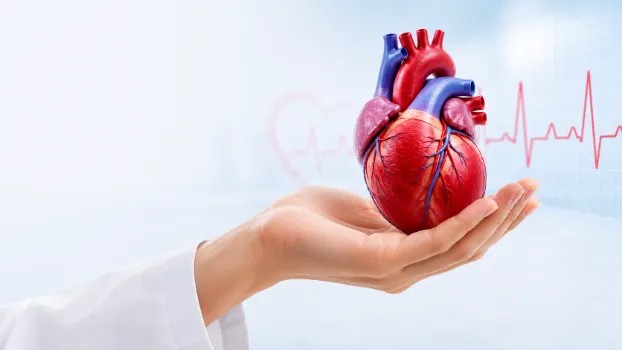 CARDIAC HEALTH CHECKUP <45 YRS
