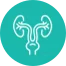 Uroflowmetry